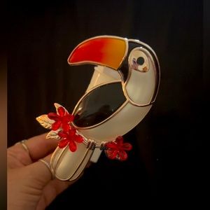 Toucan wallflower plug